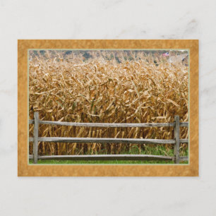 American Farm Postcard