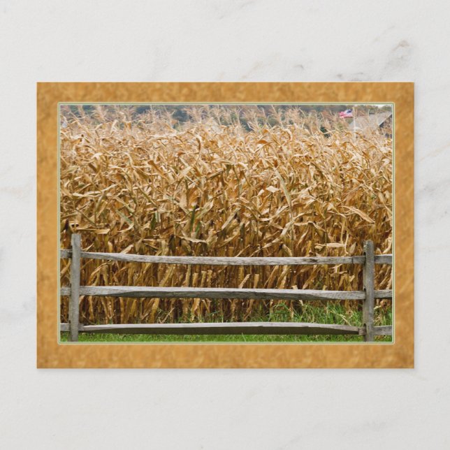 American Farm Postcard (Front)