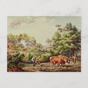 American Farm Scenes Postcard