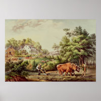 American Farm Scenes