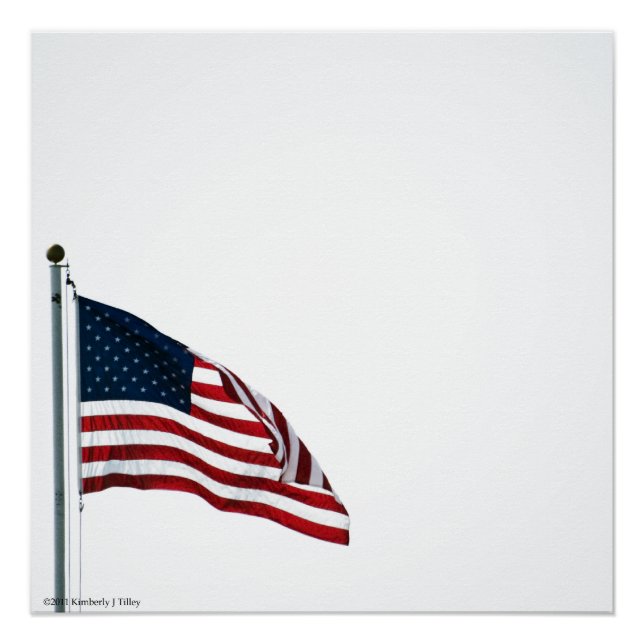 American Flag 2371 Poster (Front)