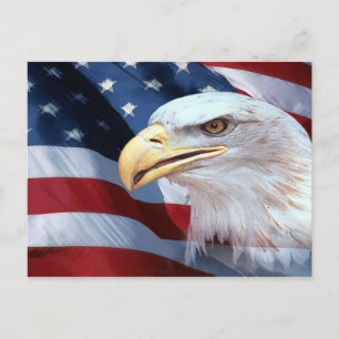 American Flag and Bald Eagle Postcard