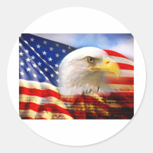 American Flag Bald Eagle Classic Round Sticker