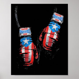 American Flag Boxing Usa Gloves Gym Boxer Fitness  Poster
