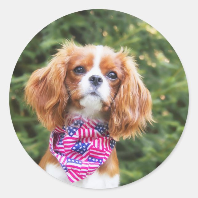 American Flag Cavalier King Charles Spaniel Puppy Classic Round Sticker (Front)