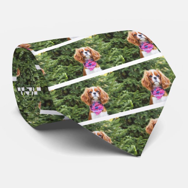 American Flag Cavalier King Charles Spaniel Puppy Tie (Rolled)