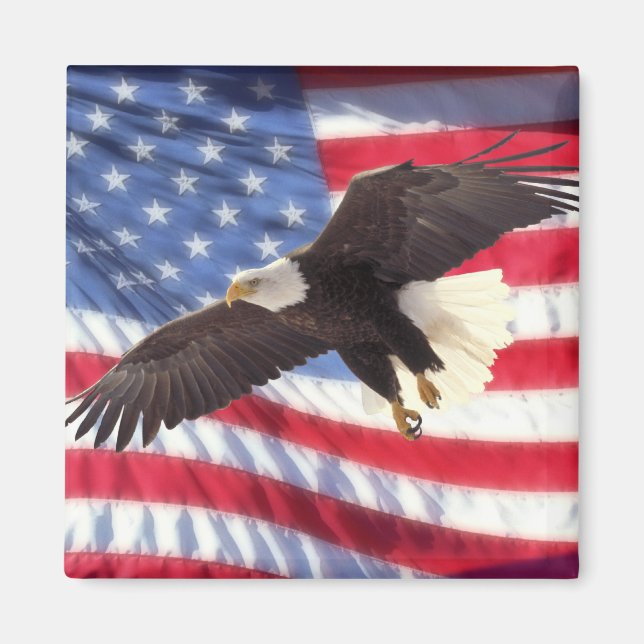 American Flag & Eagle Magnet (Front)
