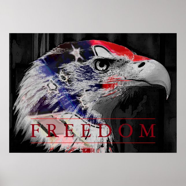 American Flag Freedom American Eagle Poster (Front)