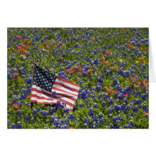 American Flag in field of Blue Bonnets, 2