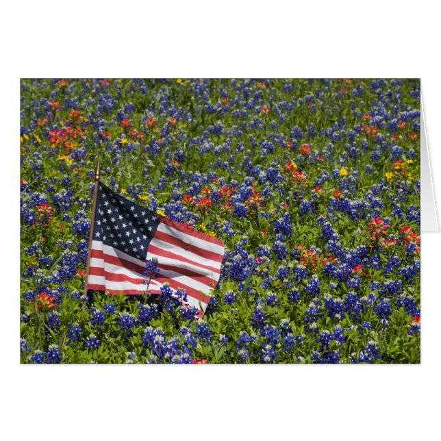 American Flag in field of Blue Bonnets, 2 (Front Horizontal)