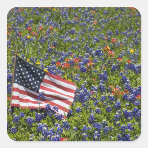 American Flag in field of Blue Bonnets, 2 Square Sticker