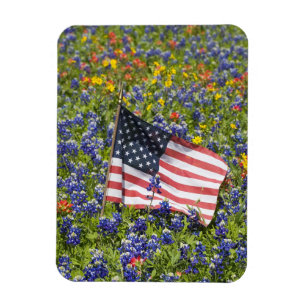 American Flag in field of Blue Bonnets, Magnet
