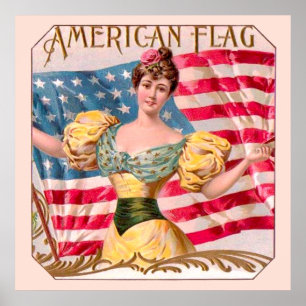 American Flag Lady Liberty Independence Poster