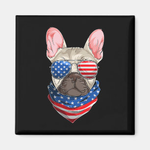 American Flag Magnet