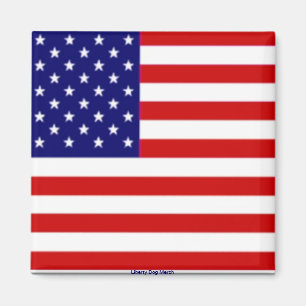 AMERICAN FLAG MAGNETS - 4TH OF JULY DECORATIONS