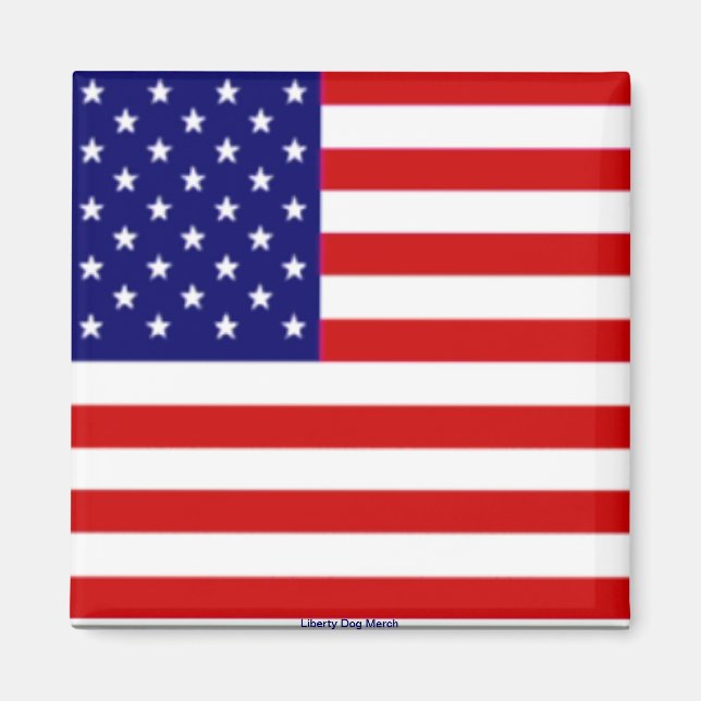 AMERICAN FLAG MAGNETS - 4TH OF JULY DECORATIONS (Front)