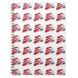 AMERICAN FLAG NOTEBOOK