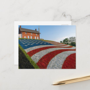 American Flag on Grass Postcard