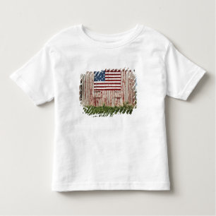 American flag painted on barn toddler T-Shirt