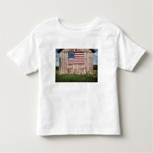 American flag painted on barn toddler T-Shirt