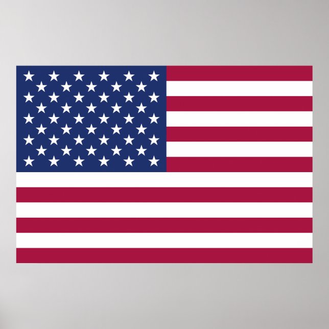 American Flag Poster (Front)