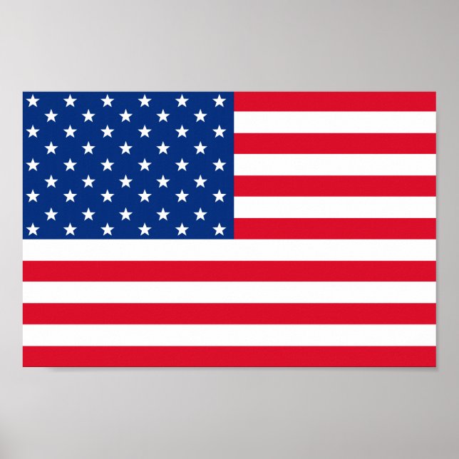 American Flag Poster (Front)