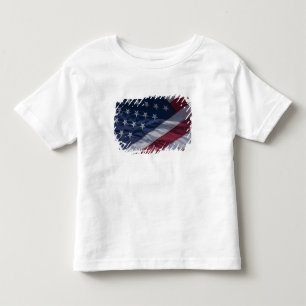 American flag. toddler T-Shirt