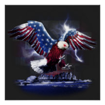 American-flagged eagle