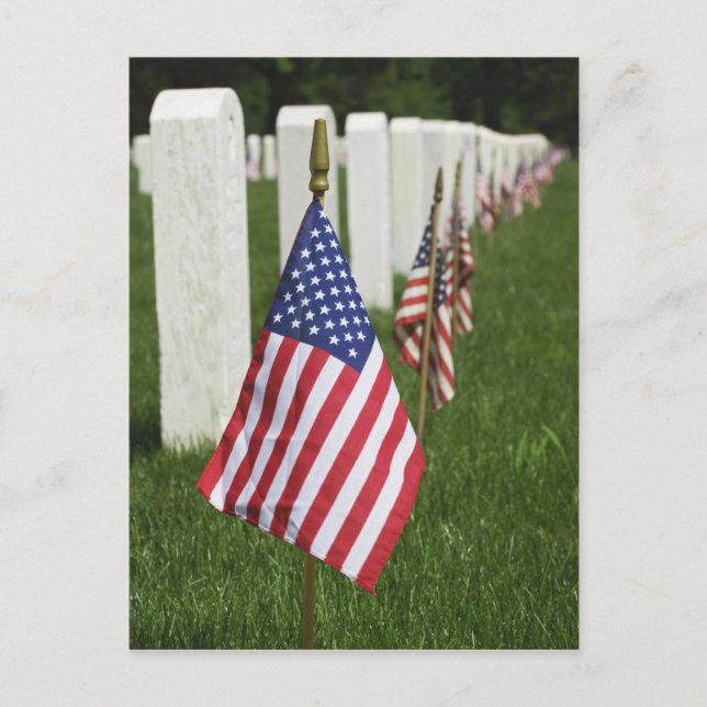 American flags on tombs of American Veterans on 2 Postcard (Front)
