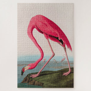 American Flamingo Birds of America Audubon Print Jigsaw Puzzle