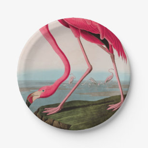 American Flamingo Birds of America Audubon Print Paper Plate