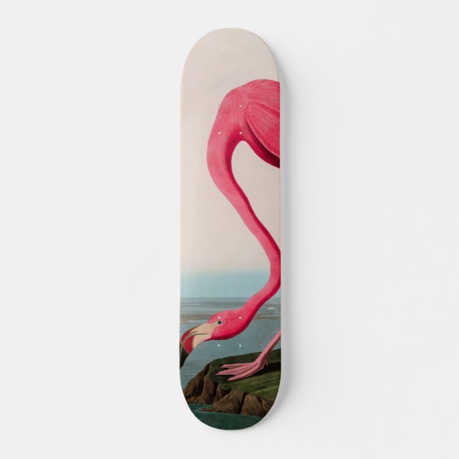 American Flamingo Birds of America Audubon Print Skateboard (Front)
