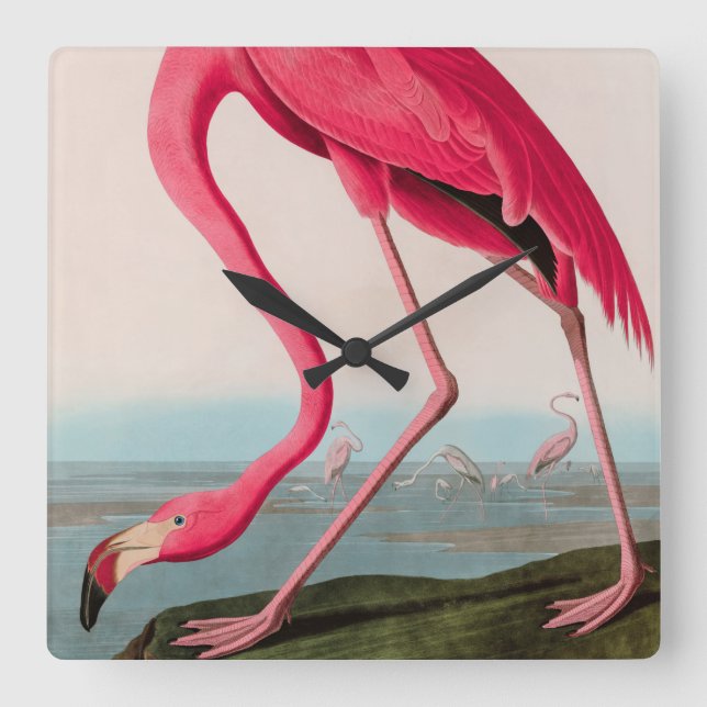 American Flamingo Birds of America Audubon Print Square Wall Clock (Front)