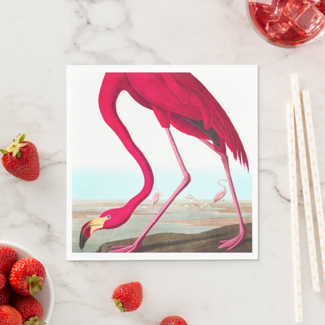 American Flamingo by John James Audubon Napkin (Insitu)