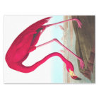 American Flamingo by John James Audubon