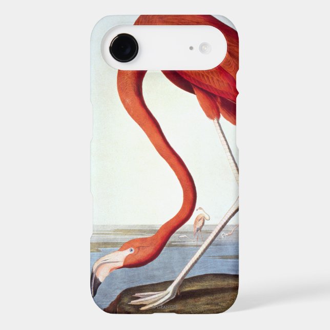 American Flamingo Case-Mate iPhone Case (Back)