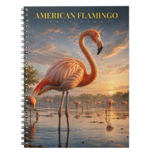 American Flamingo Coastal Lagoon ANIMALS Notebook