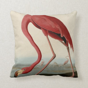 American Flamingo from Audubon's Birds of America Cushion