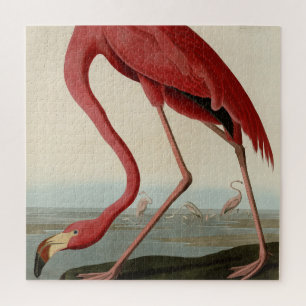 American Flamingo from Audubon's Birds of America Jigsaw Puzzle