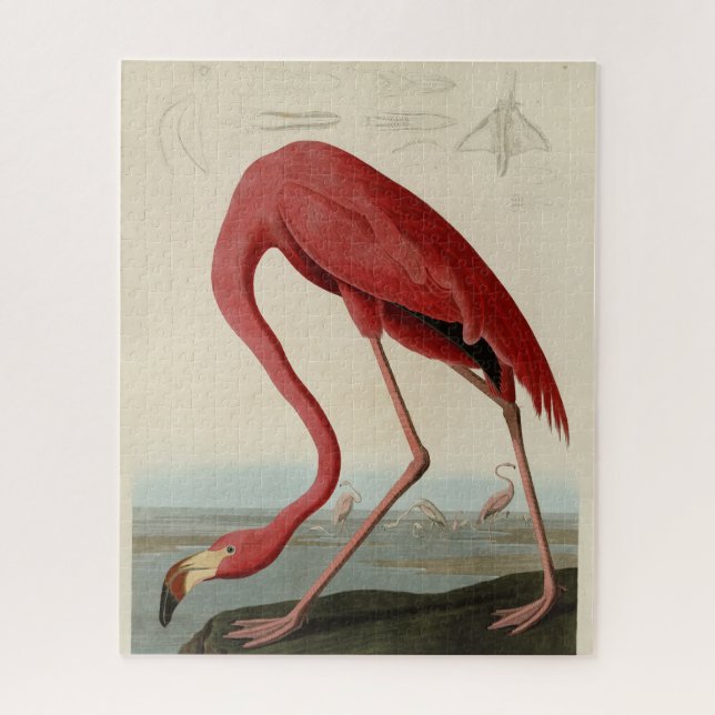American Flamingo from Audubon's Birds of America Jigsaw Puzzle (Vertical)