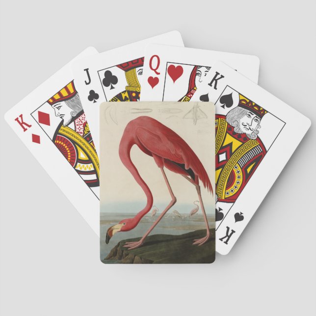 American Flamingo from Audubon's Birds of America Playing Cards (Back)