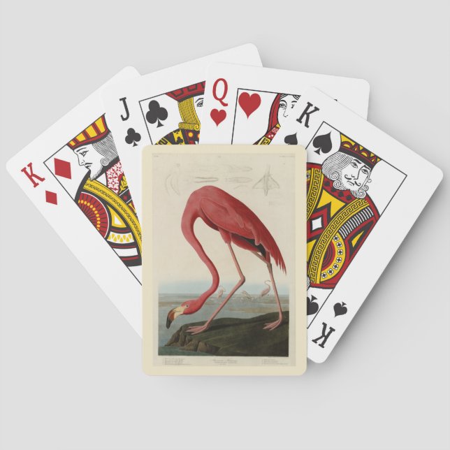American Flamingo from Audubon's Birds of America Playing Cards (Back)