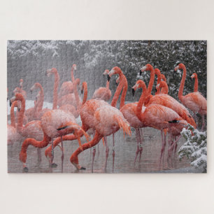 American Flamingo  Jigsaw Puzzle