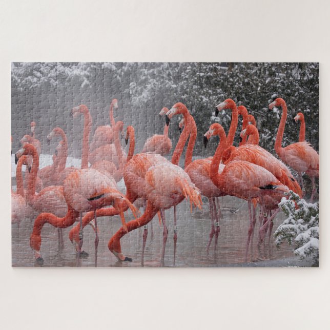 American Flamingo  Jigsaw Puzzle (Horizontal)