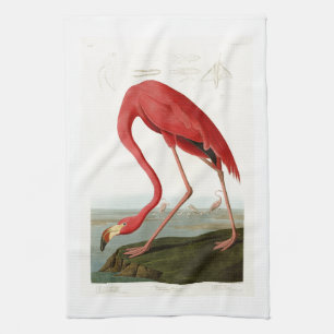 American Flamingo John Audubon Birds of America Tea Towel