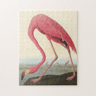 American Flamingo ~ John James Audubon 11 x 14 Jigsaw Puzzle