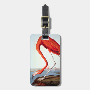 American Flamingo Luggage Tag