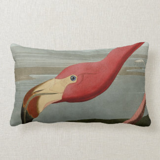 American Flamingo Lumbar Cushion