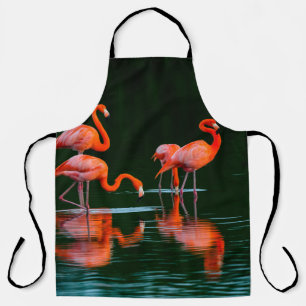 American flamingos with Reflections Resting and Fo Apron