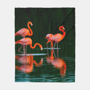 American flamingos with Reflections Resting and Fo Fleece Blanket